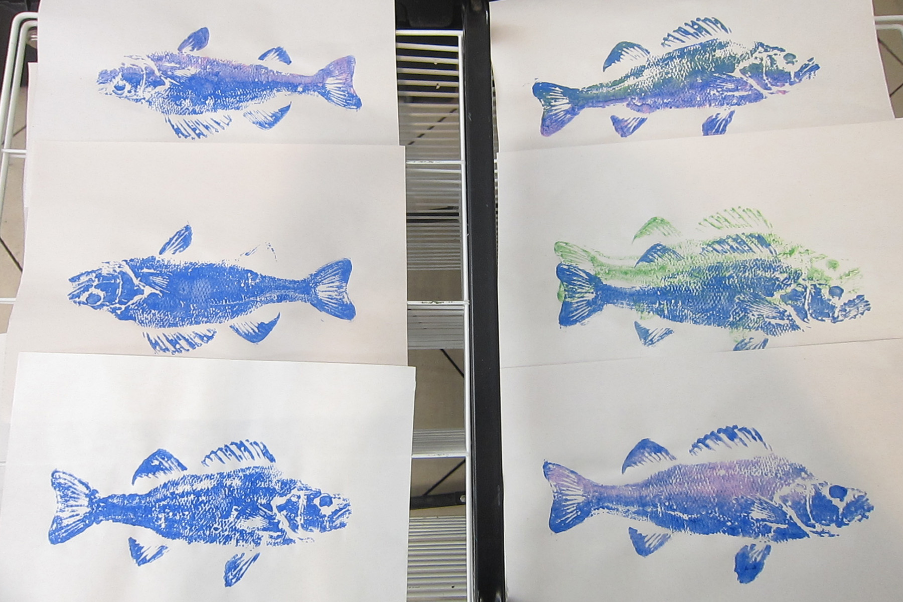 Photo of Japanese fish printing