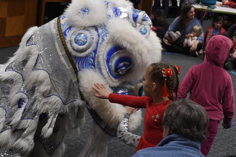 A young child with her hair in braided pigtails reaches out to pet a costumed lion