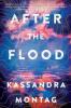 After the Flood book cover After the Flood book cover